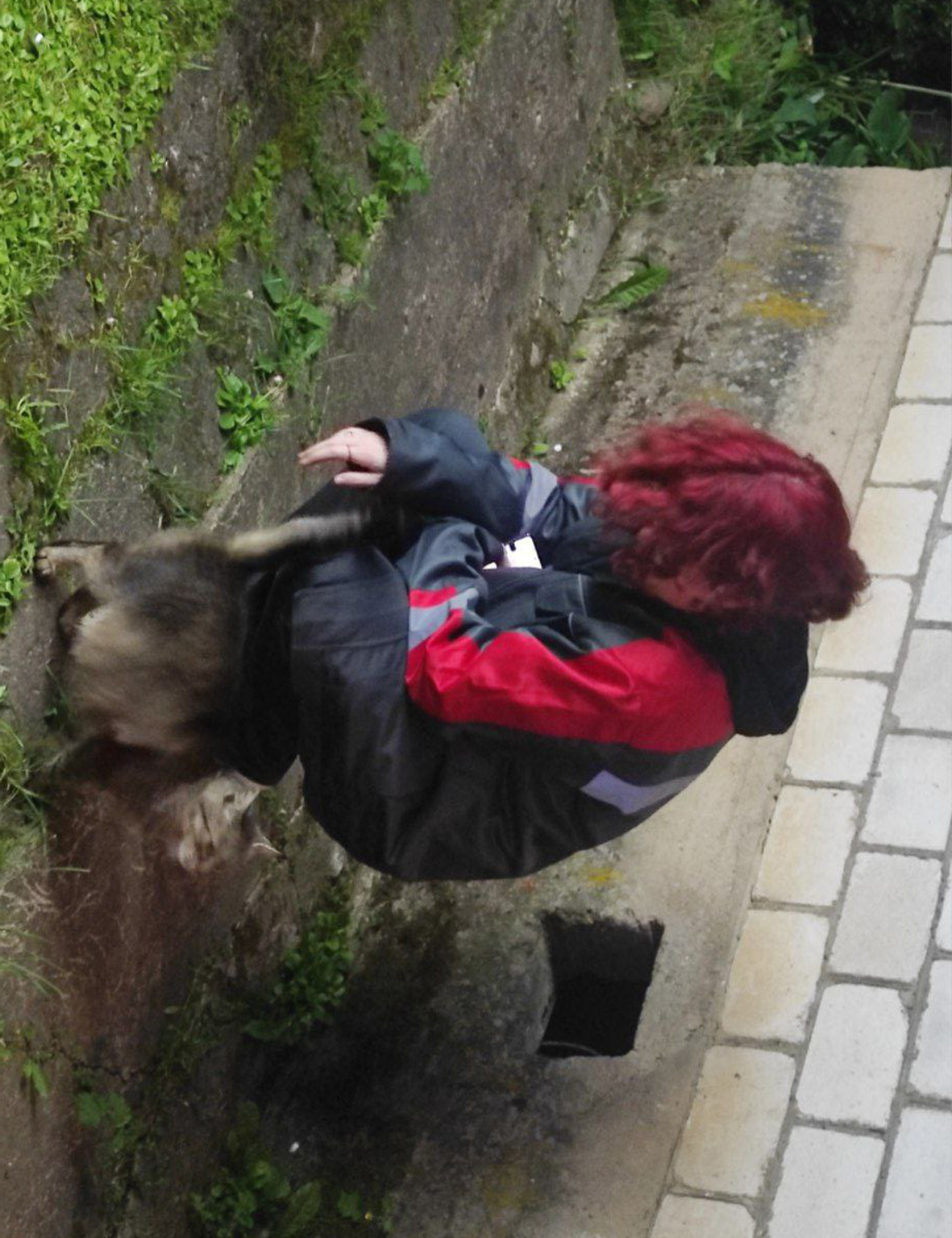 My photo.